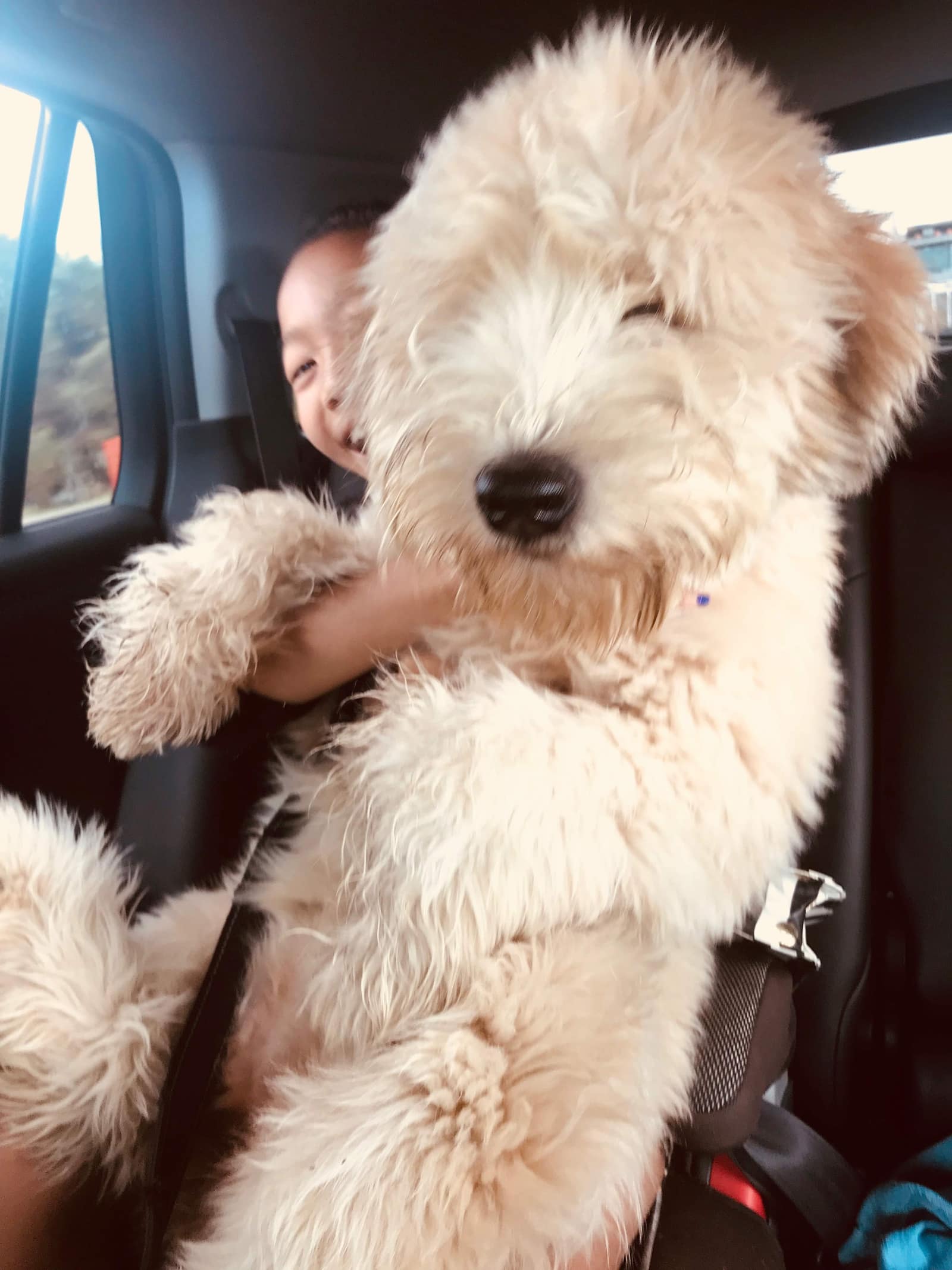 Evie in the car with a kid