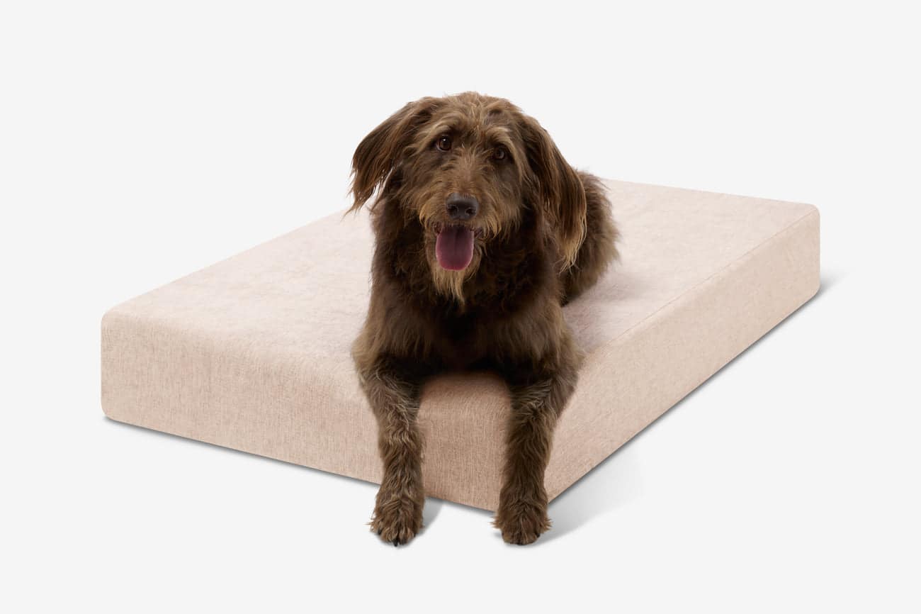 Casper Dog Bed