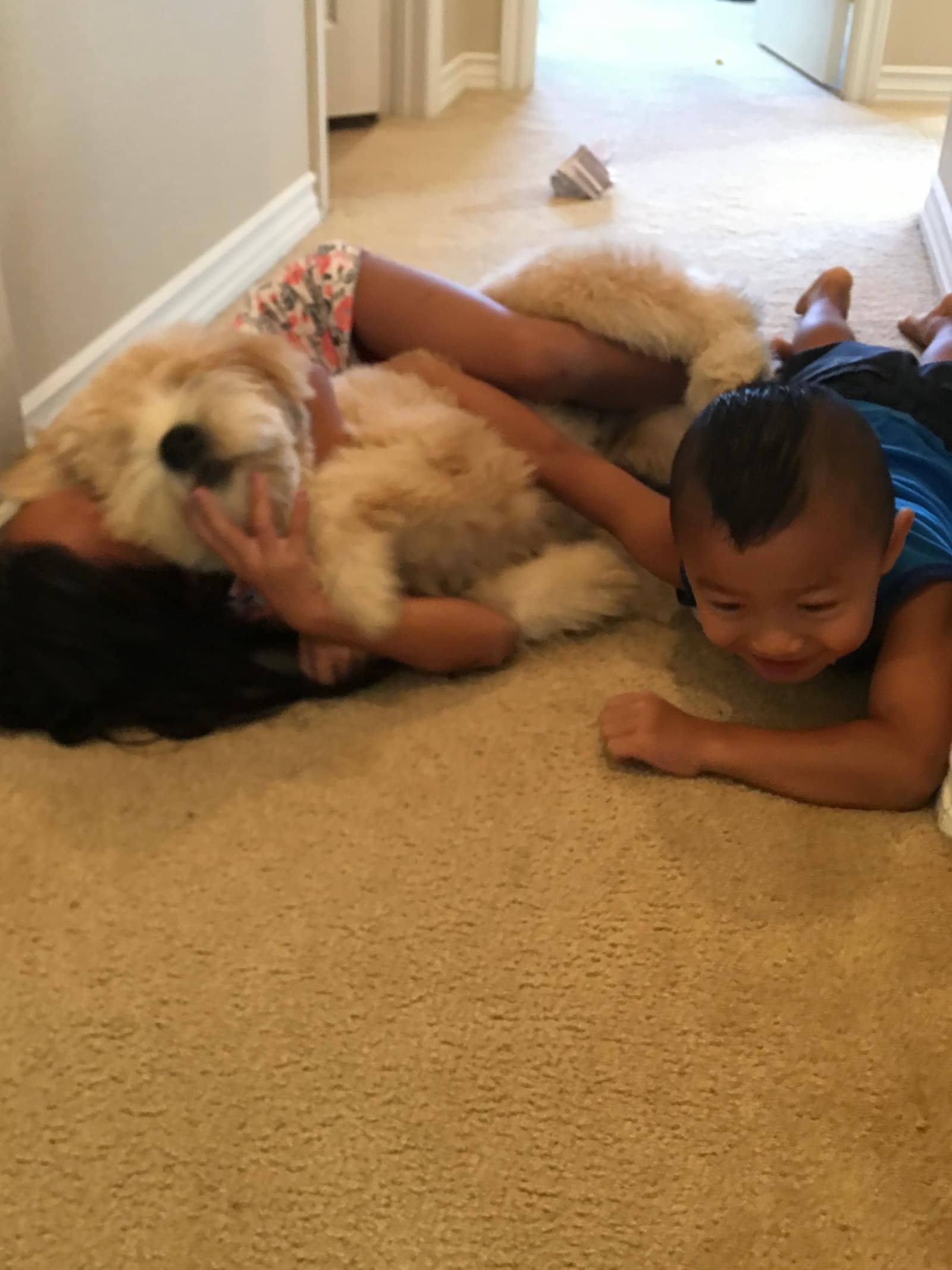 Taylin and Jakob wrestling with Evie on the floor