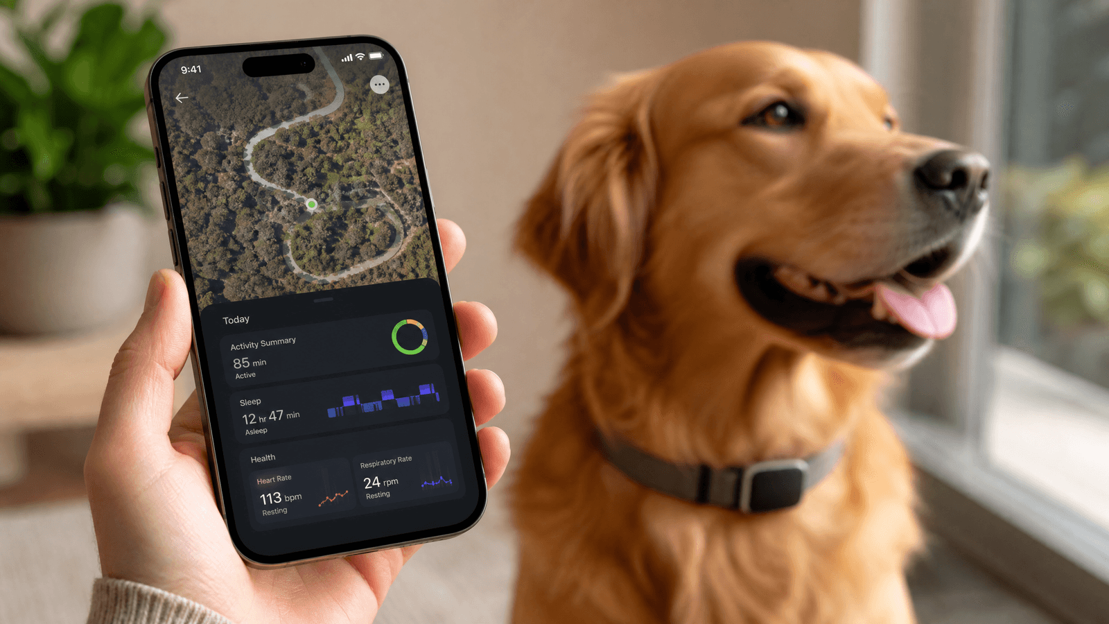 Is the Fi Collar Subscription Worth It? Honest Assessment