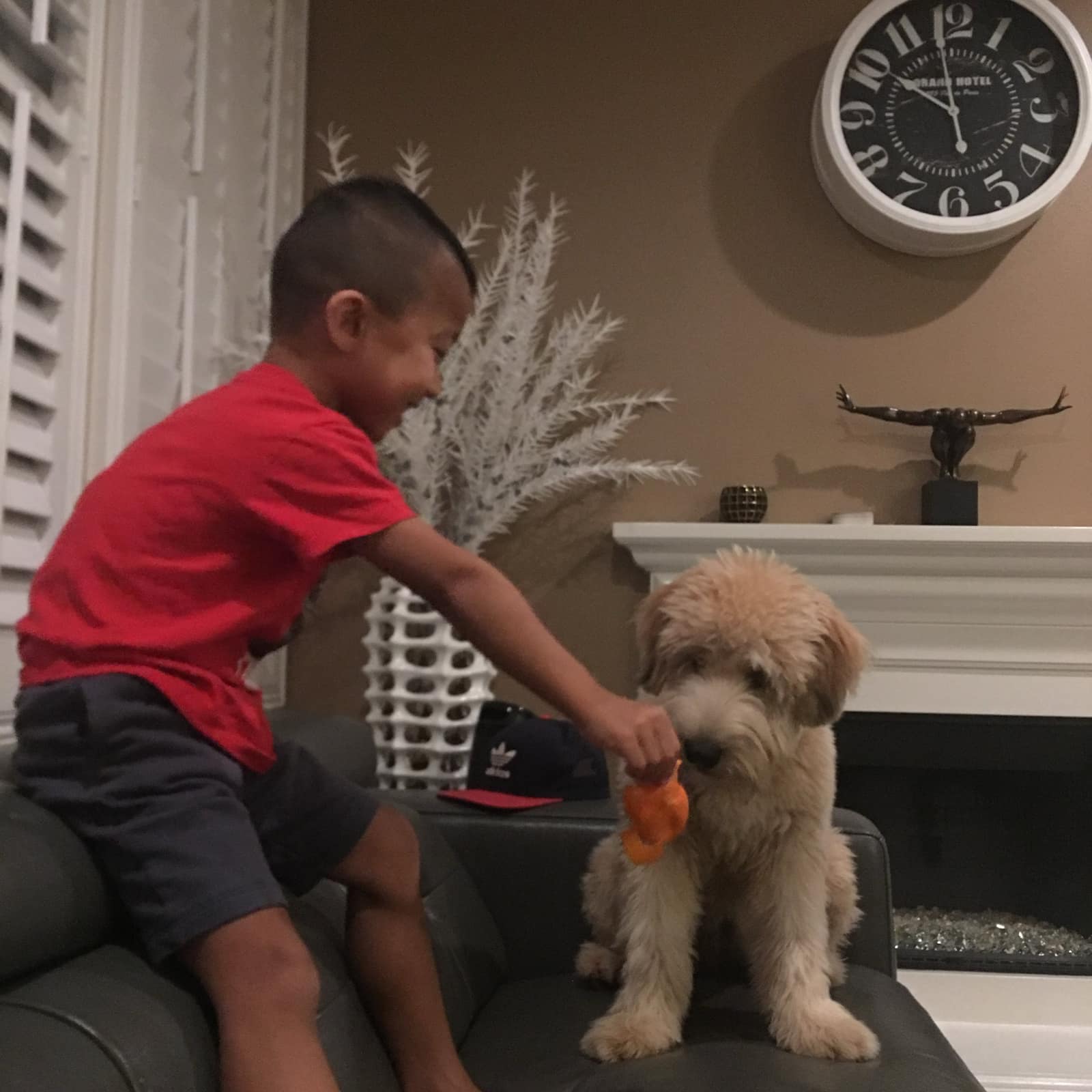 Jakob playing with Evie and a toy