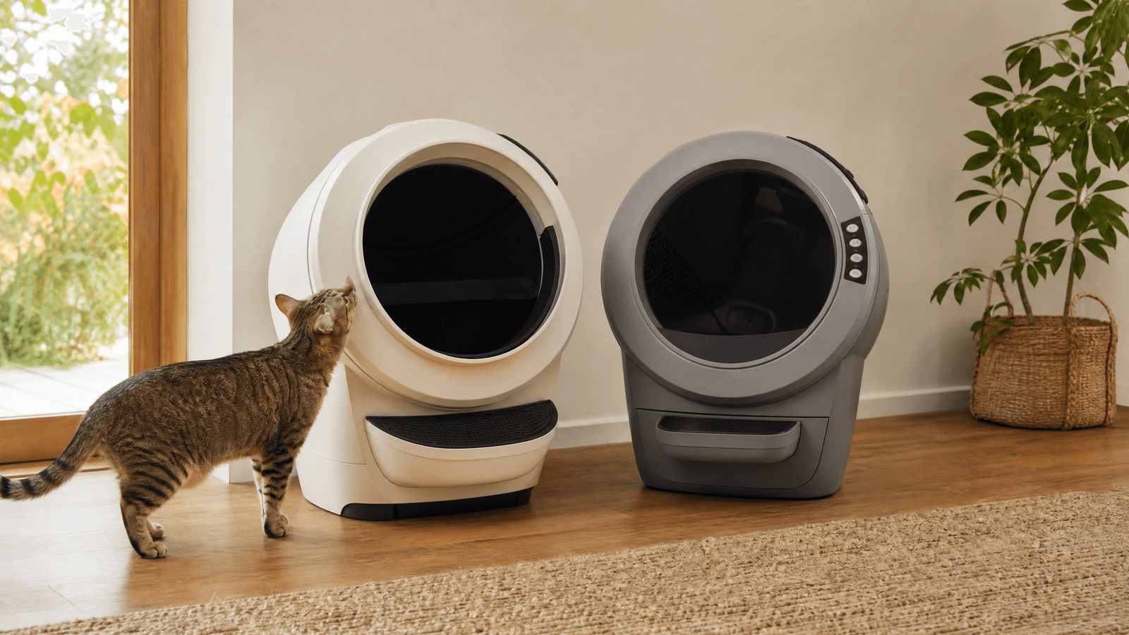 Litter-Robot 4 vs Litter-Robot 3: Is the Upgrade Worth It?