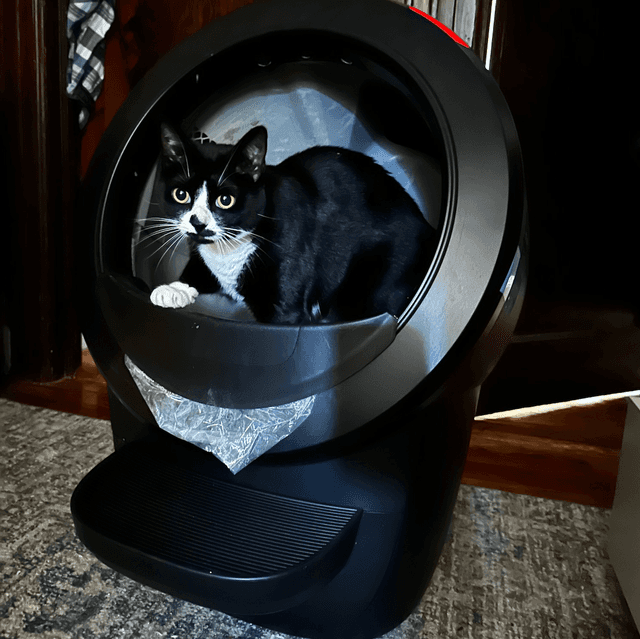 Litter-Robot 4 Self-Cleaning Litter Box view 3