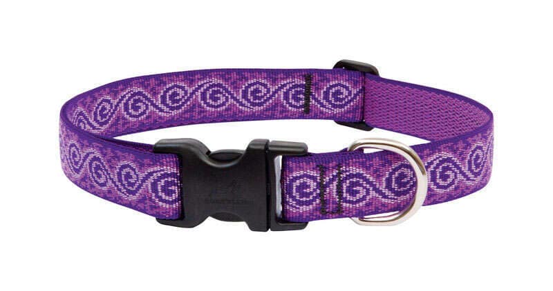 Lupine Original Designs Dog Collar