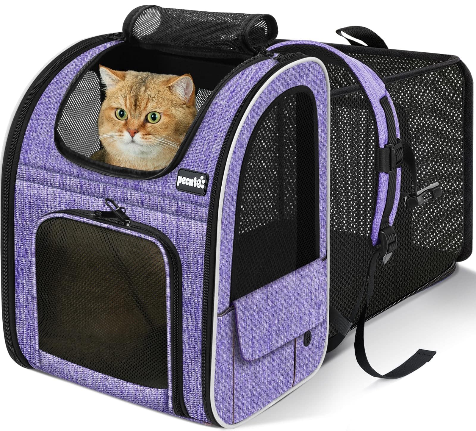 Pecute Expandable Cat Backpack Carrier