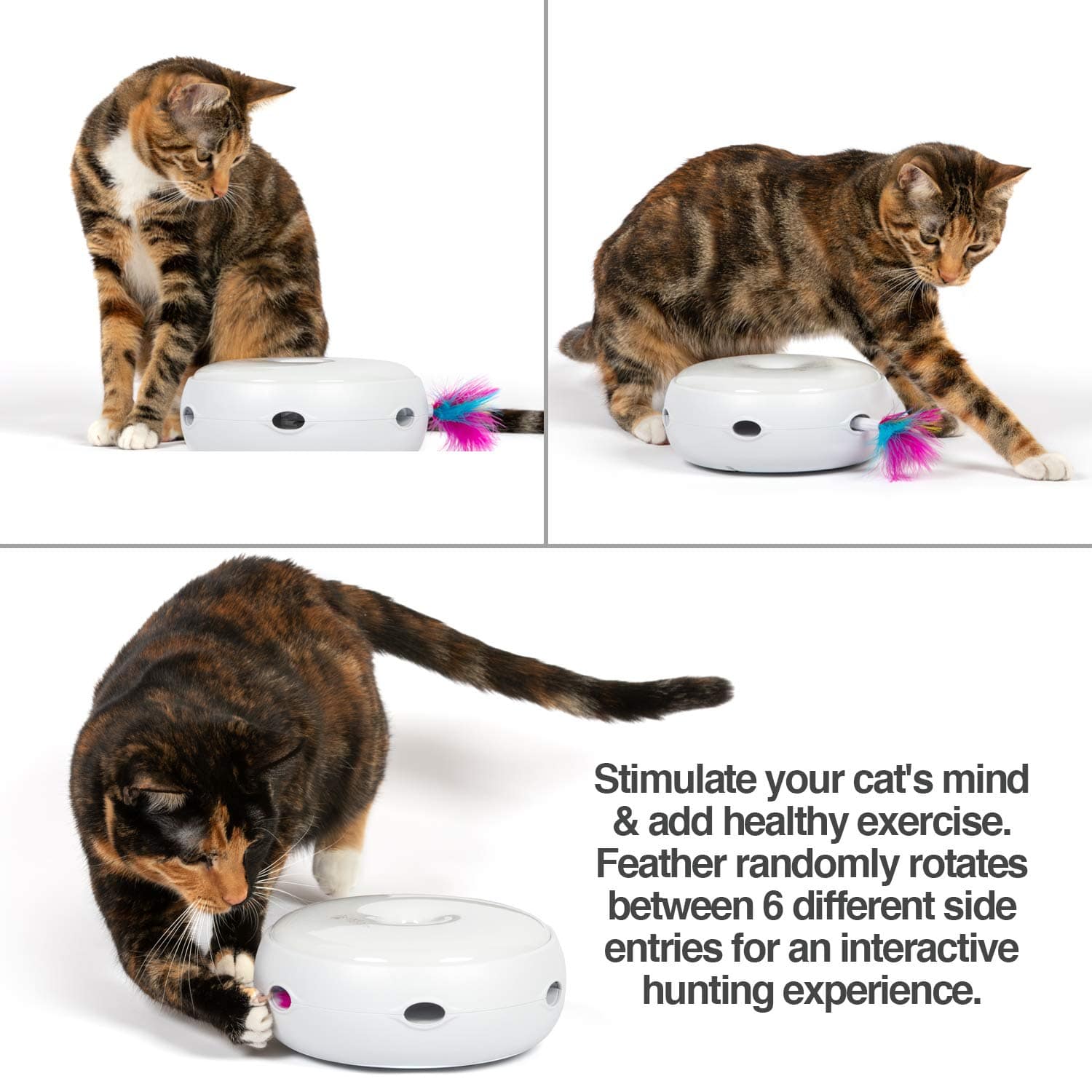 PetFusion Ambush Interactive Electronic Feather Toy