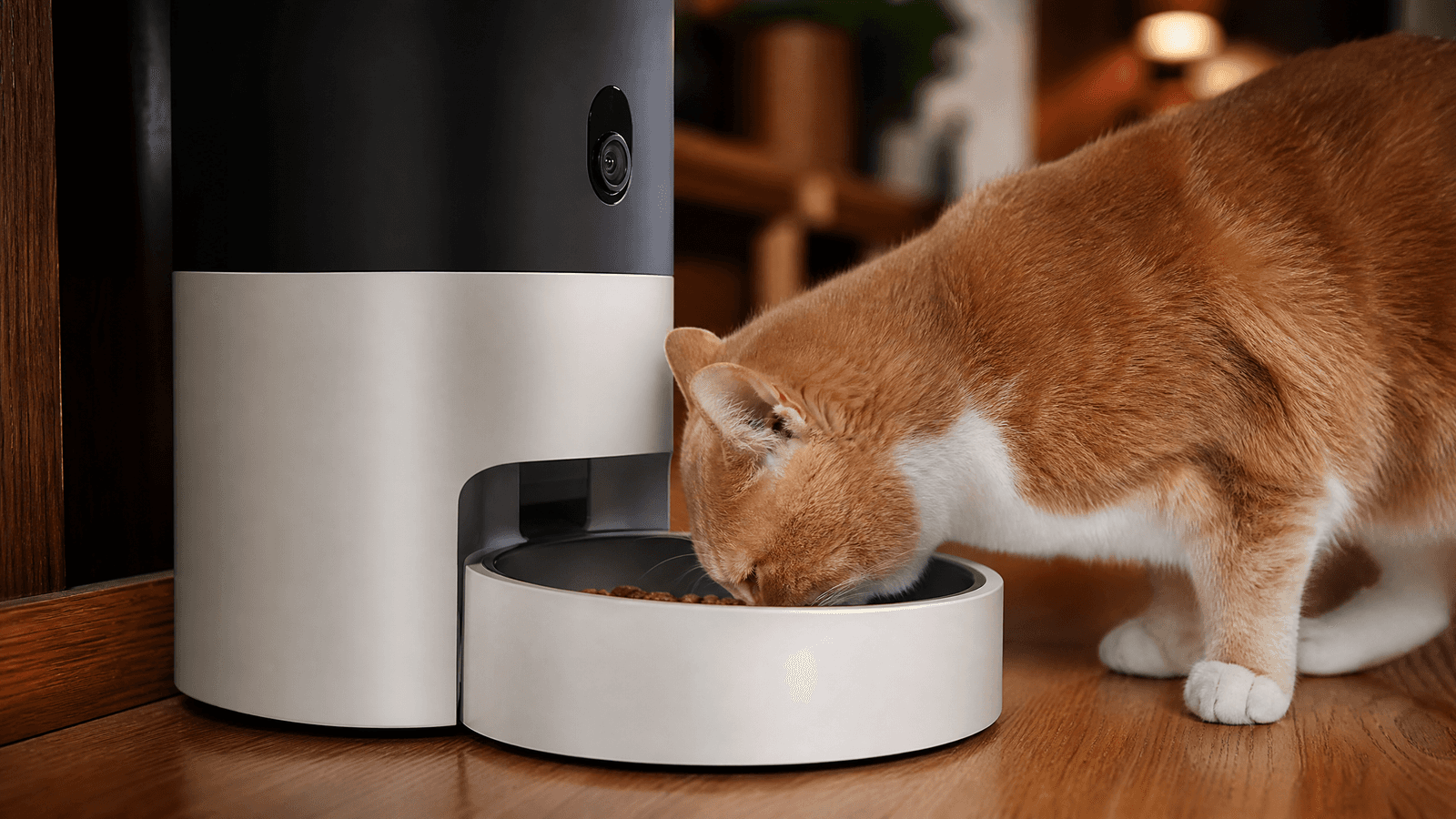 PETLIBRO Smart Feeder Review: Best Camera Feeder of 2026?