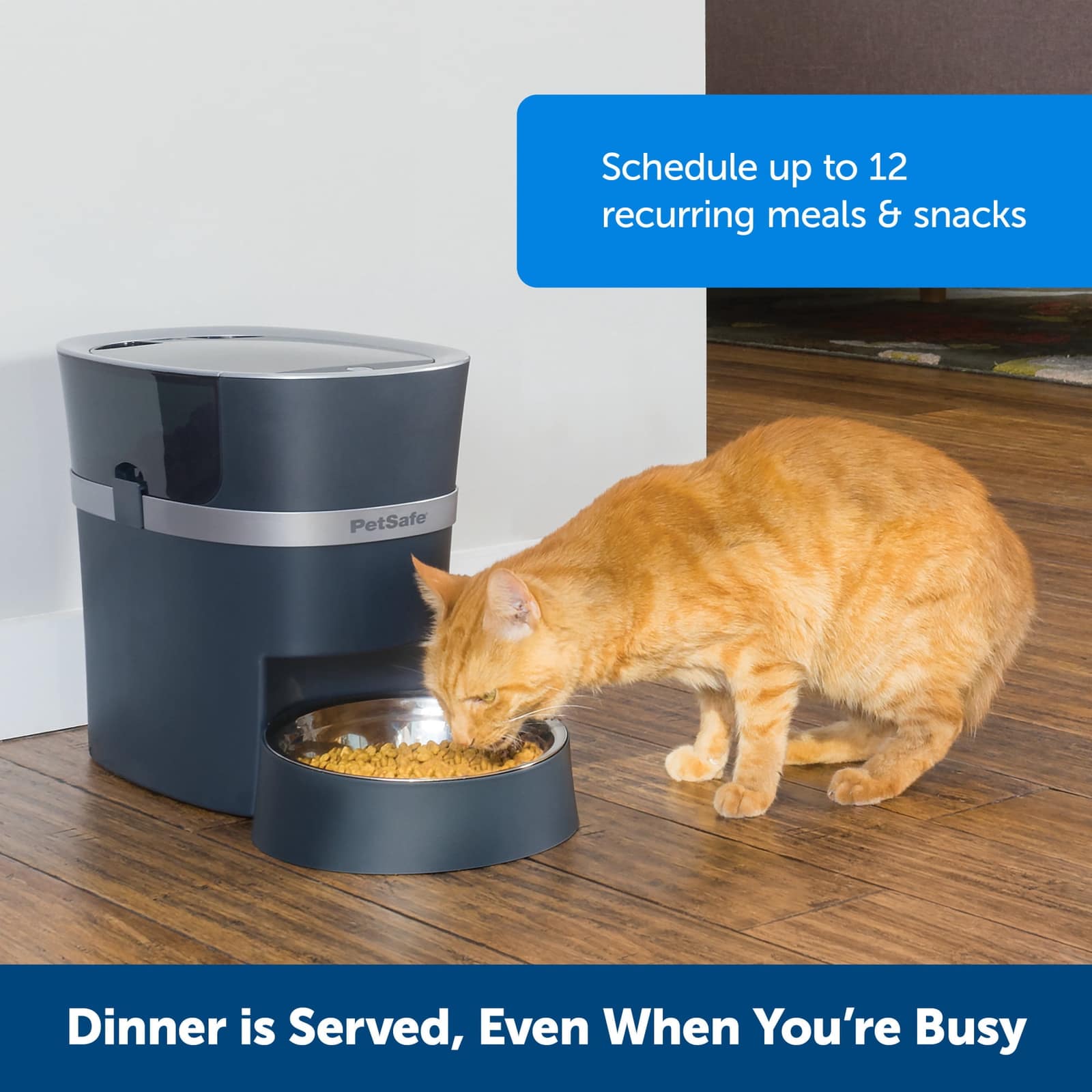 PetSafe Smart Feed Automatic Feeder