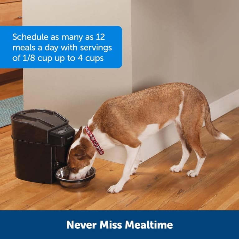 PetSafe Smart Feed Automatic Feeder