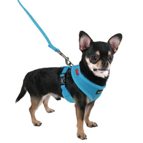 Puppia Soft Dog Harness
