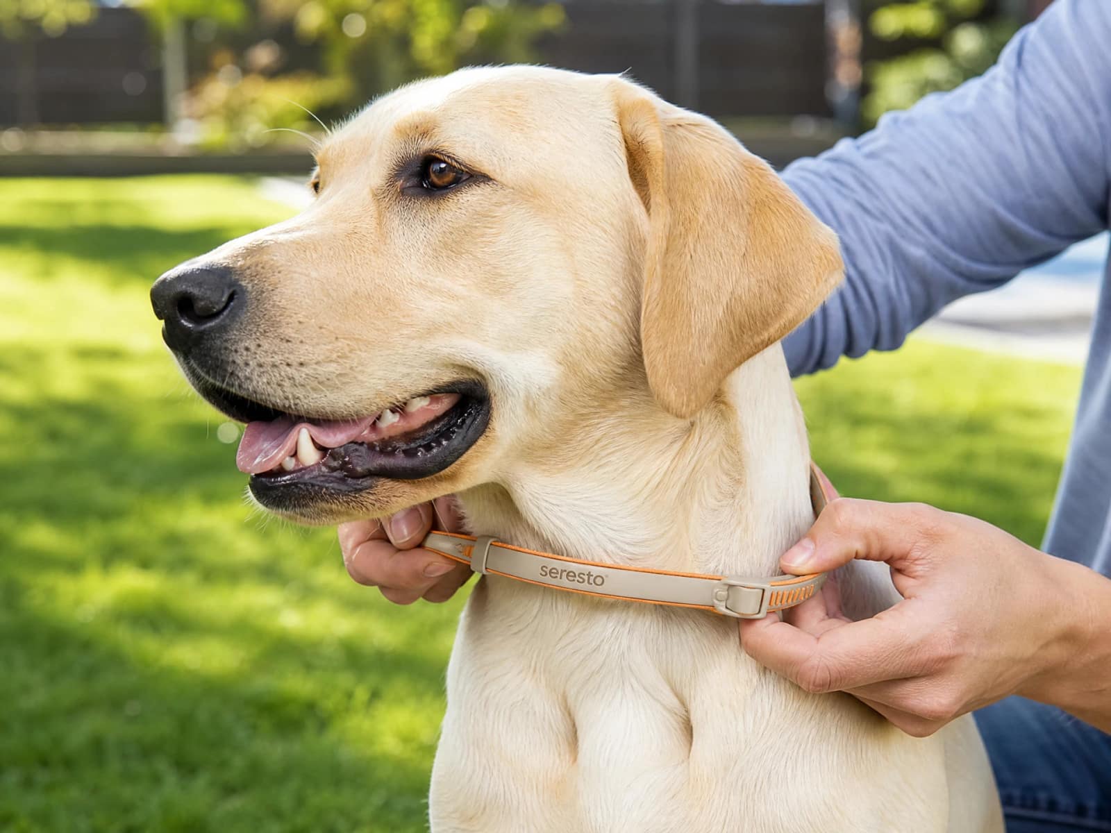 Seresto Flea & Tick Collar for Dogs