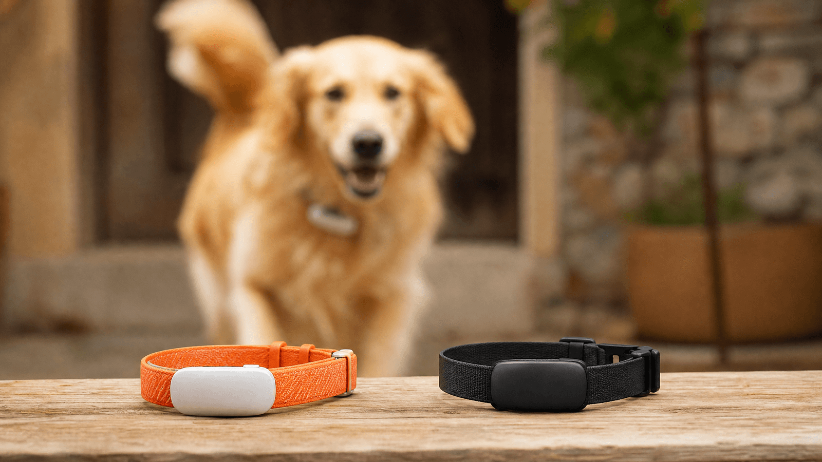 Tractive GPS vs Fi Series 3+: Which Is Better?