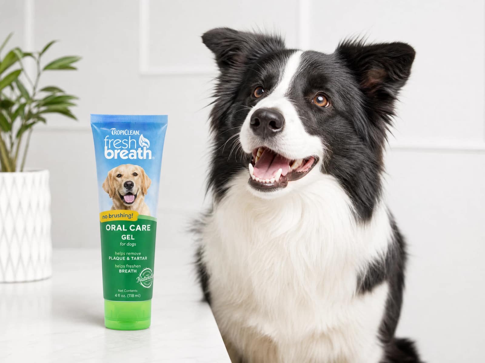 TropiClean Fresh Breath Oral Care Gel