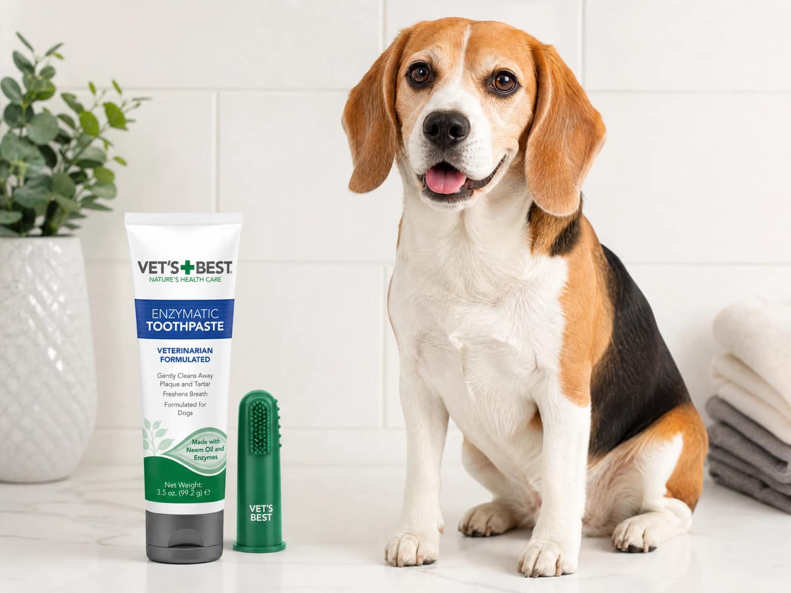 Vet's Best Enzymatic Dog Toothpaste Kit
