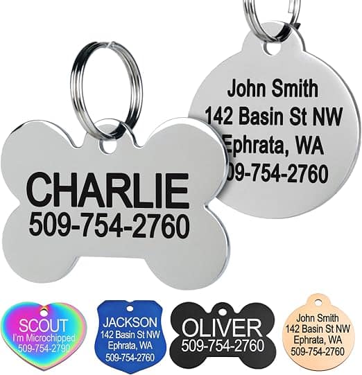 GoTags Stainless Steel Pet ID Tag