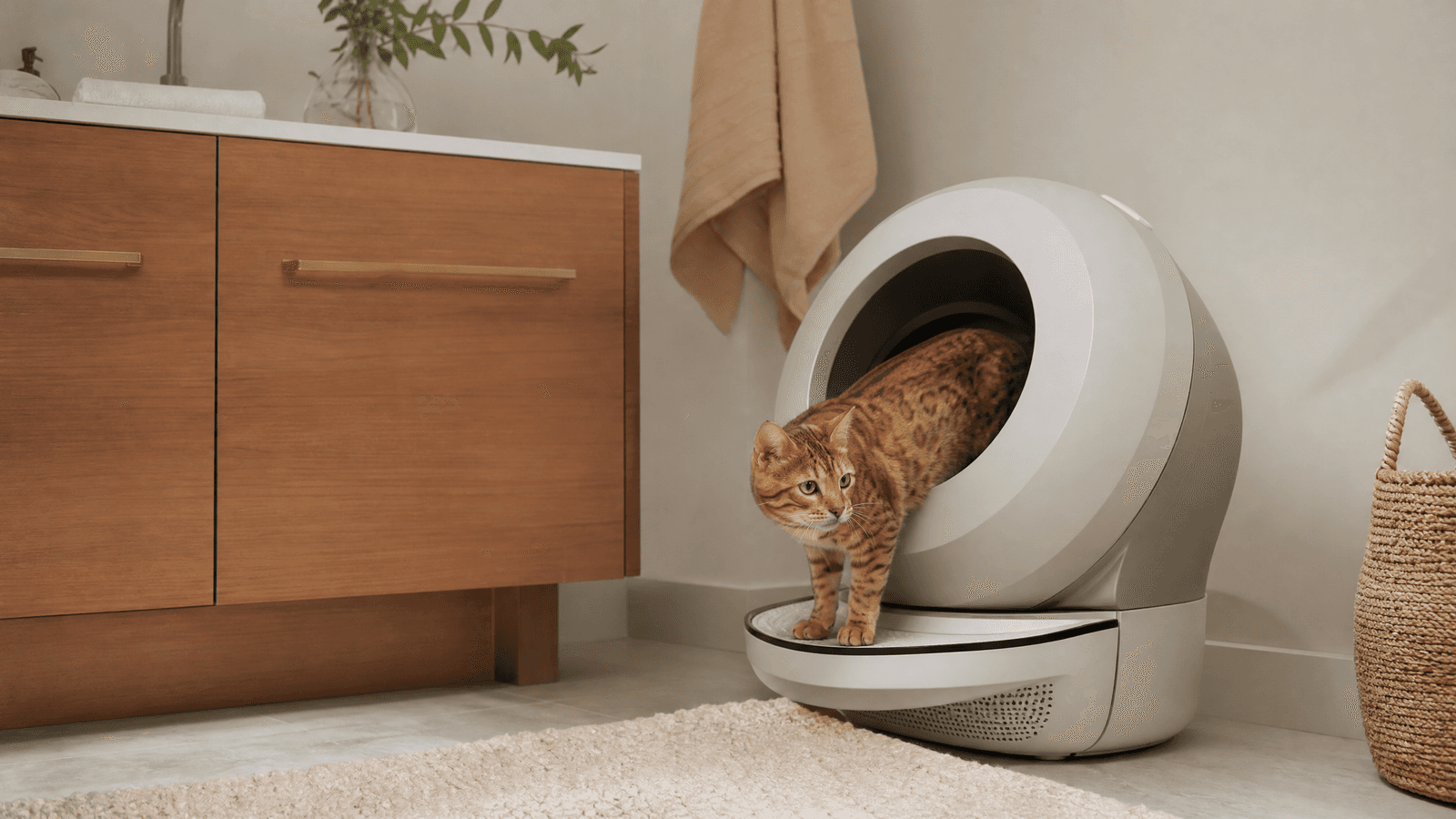 Litter-Robot 4 for Small Cats: Will They Use It?